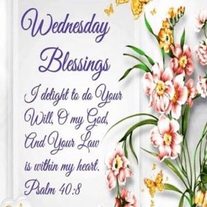 Meet your Posher, Nanette